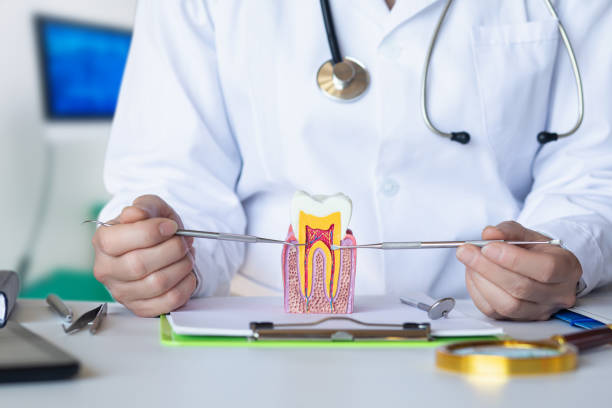 Best Chipped Tooth Repair Near Me  in Loch Sheldrake, NY